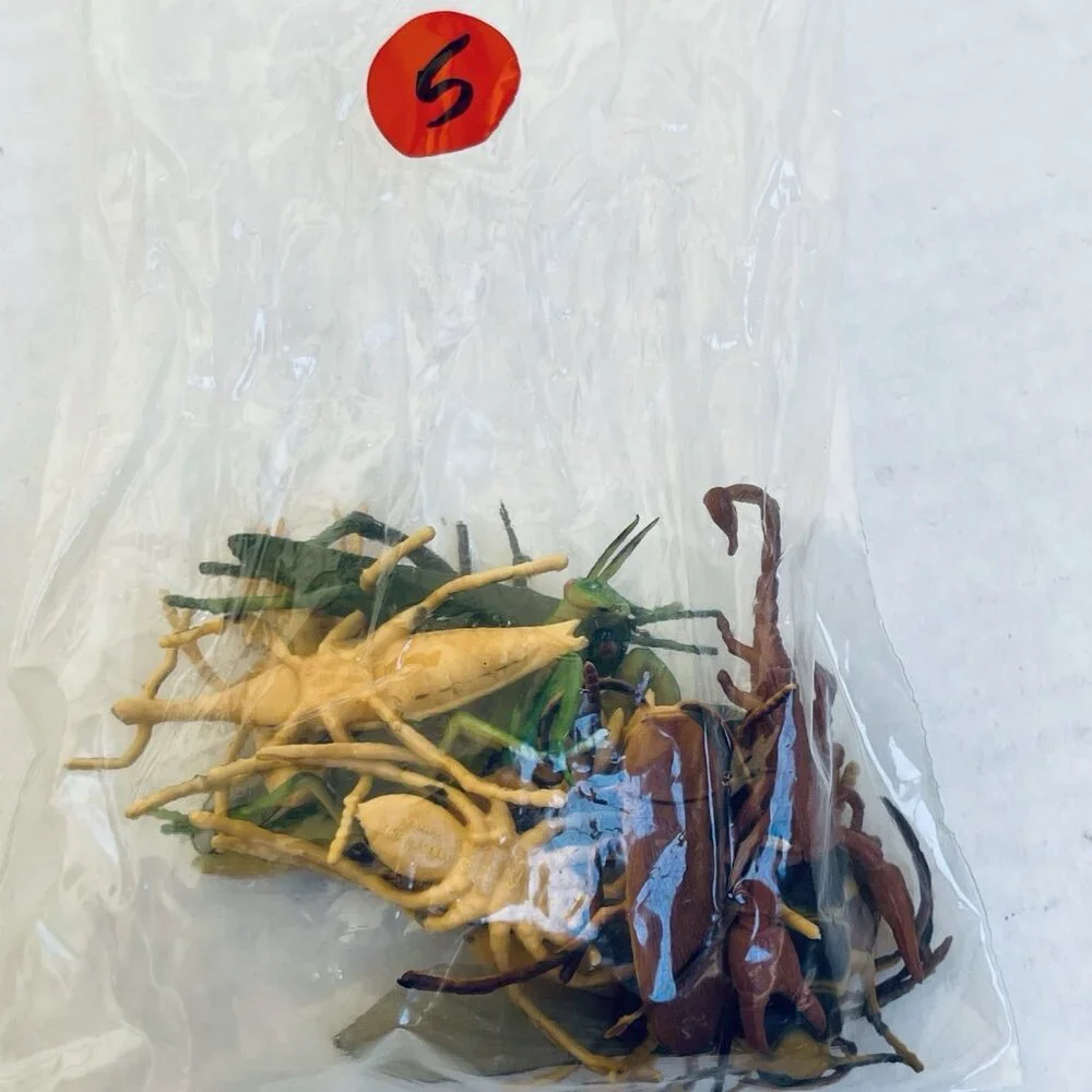 Insects Beetle Fly Weevil Mantis Spider Grasshopper 12 Pieces 2in Vintage 1989